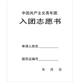 开云官方网页版团申请书