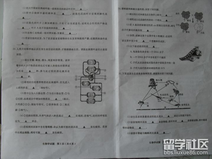 45b0eeb953038cfcb7fc5575588b1699.jpg