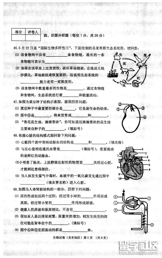 4dadcd2dc2a39d7c68836e9591cb5368.jpg