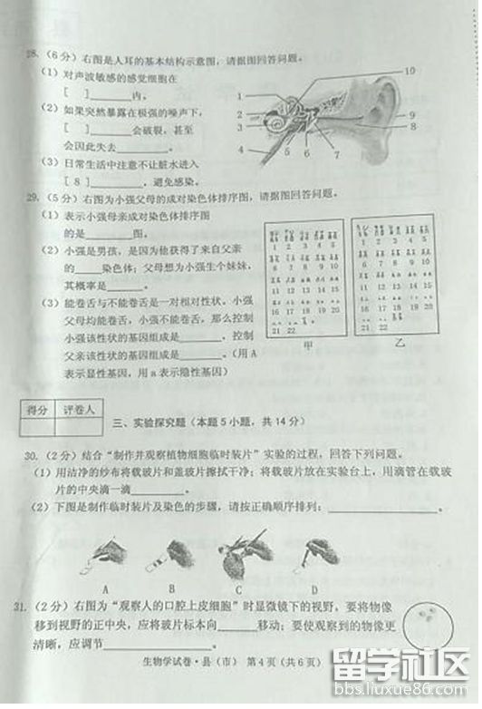 237e3953907f01c14fa96a88d099eb5a.jpg