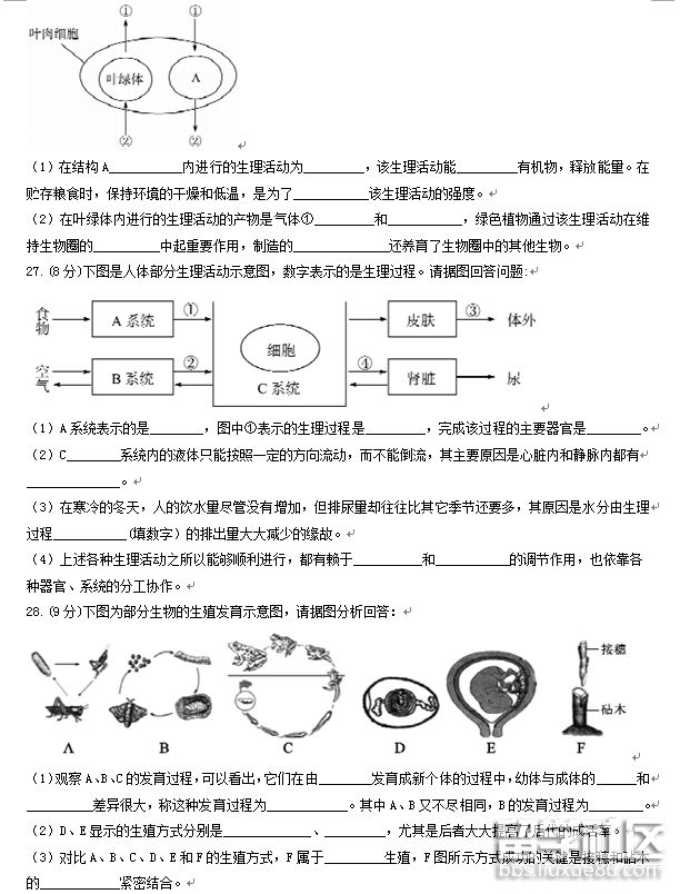 cb236c5f81abf4aa64d9d51023e8f5e0.jpg