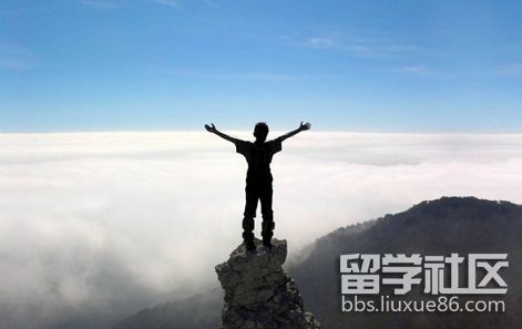 timg (11).jpg timg (11).jpg