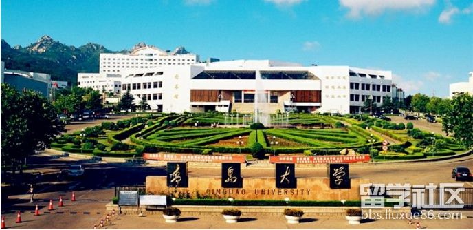 青岛大学.png 青岛大学.png