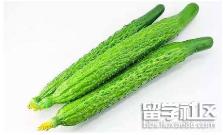 黄瓜1.png 黄瓜1.png
