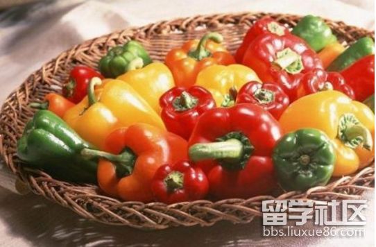 五彩辣椒.png 五彩辣椒.png