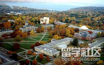 US News排名 image.png