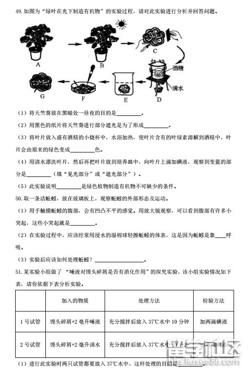 154654_5b3f1e6e72168.png