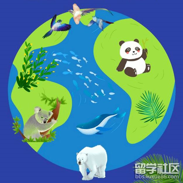 4f39ecff6b02495b8c9b6d210a63399d.png 4f39ecff6b02495b8c9b6d210a63399d.png