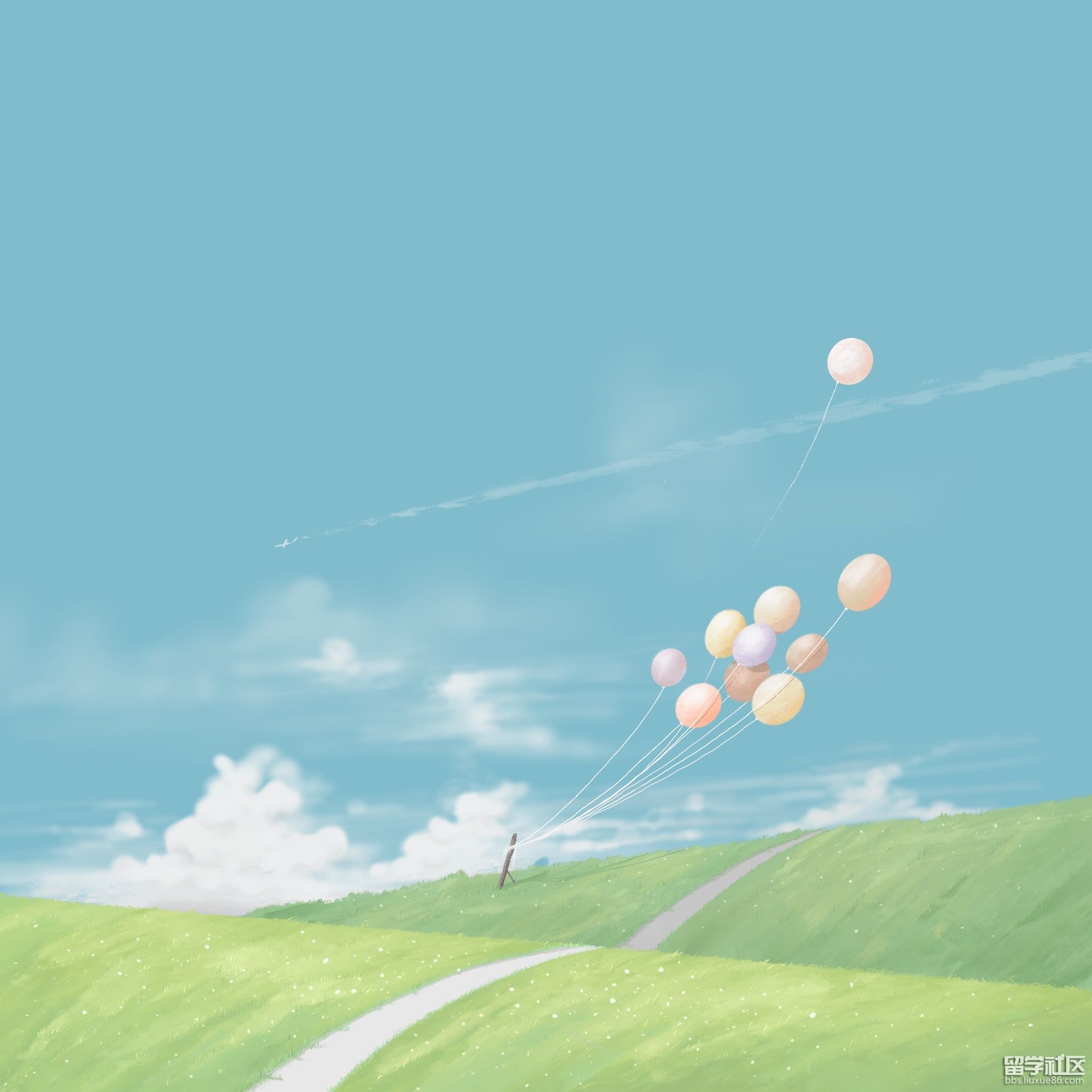 018f0a5ebbe191a801214814f7f2b2.jpg@2o.jpg 018f0a5ebbe191a801214814f7f2b2.jpg@2o.jpg