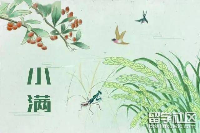 964e762f4b3e4e5bb4b9a6ad54fd959b.jpeg 964e762f4b3e4e5bb4b9a6ad54fd959b.jpeg