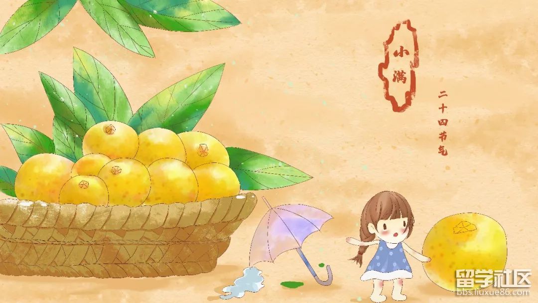 02d2fad5e1eb42c1986930c1a45546e2.jpeg 02d2fad5e1eb42c1986930c1a45546e2.jpeg