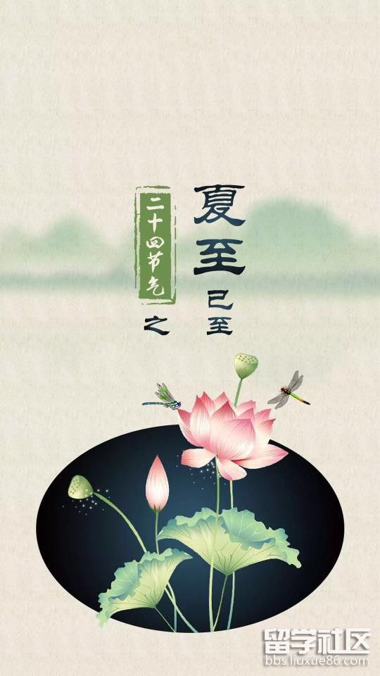 295883361.jpg 295883361.jpg