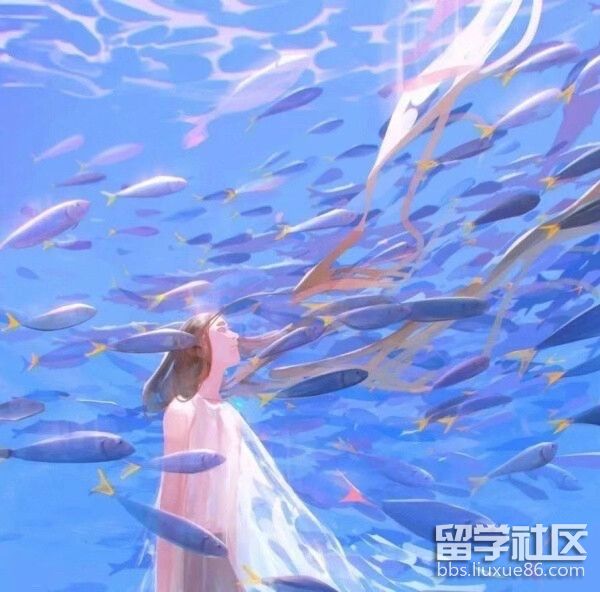 20200919213443_c55dd.jpeg 20200919213443_c55dd.jpeg